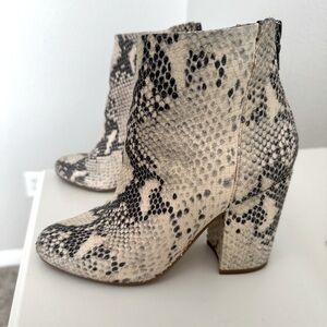 Steven Madden snake skin booties